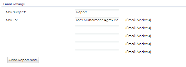 Report_2.png